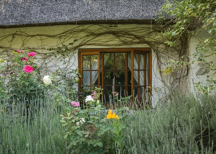 Grace Guest House